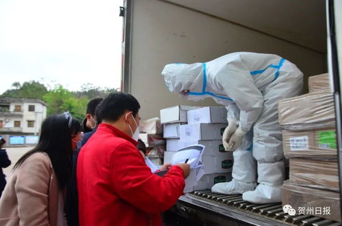 贺州迎来首个进口冷链食品集中监管仓，筑牢食品安全防线