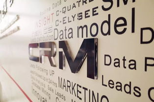 革新图进 商务咨询公司如何通过神龙双品牌电商及CRM项目实现数字化转型新突破