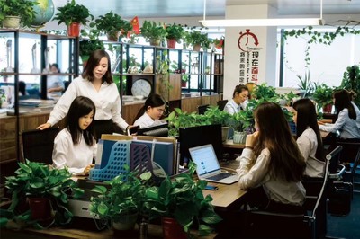 河南全占商务信息咨询 赋能企业决策的智慧引擎